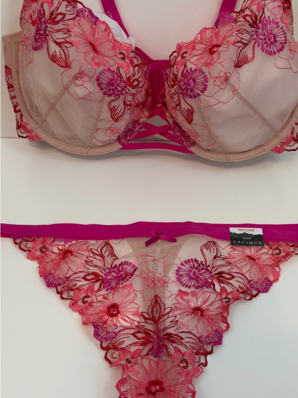Cacique Nude and Hot Pink Floral Embroidered Underwire Bra & Bikini - Picture 5 of 13